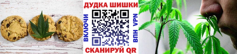 сайты даркнета наркотические препараты  Алагир  Cannafood конопля  закладки 