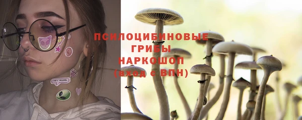 альфа пвп Няндома