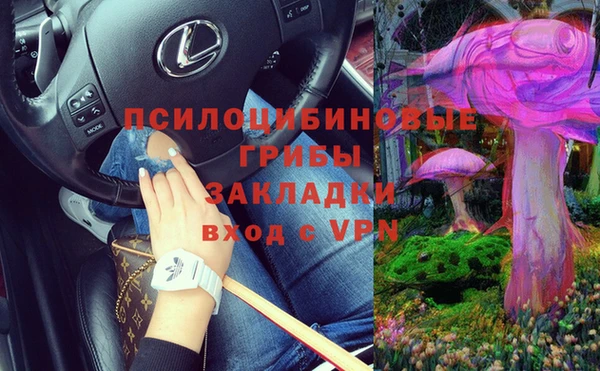 apvp Всеволожск