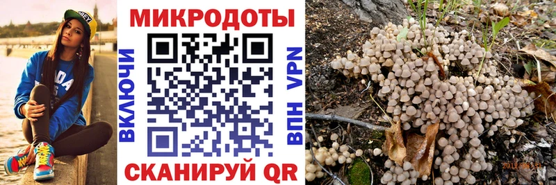 Псилоцибиновые грибы Cubensis  купить наркоту  Алагир 